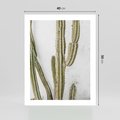 Plakat bez ramy 40x50 - Kaktus w Stylu Boho - kaktus, roślina tropikalna