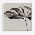 Obraz w ramie 50x50 - Szepczący Liść - szkic, czarno biały - rama biała