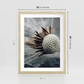 Plakat w ramie 30x40 - Makro Dmuchawiec - dmuchawiec, zbliżenie - rama drewno