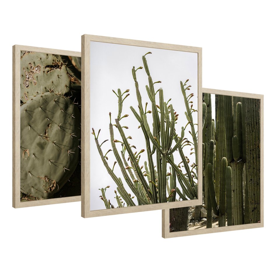 Zestaw obrazy w ramie 40x50 galeria - Kaktusy, sukulenty, opuncja, boho - rama drewno