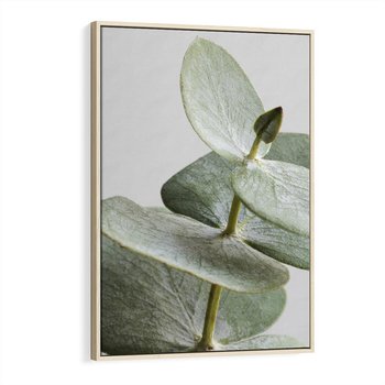 Obraz w ramie 80x120 - Eukaliptusowa zieleń - eukaliptus, zielone - rama drewno
