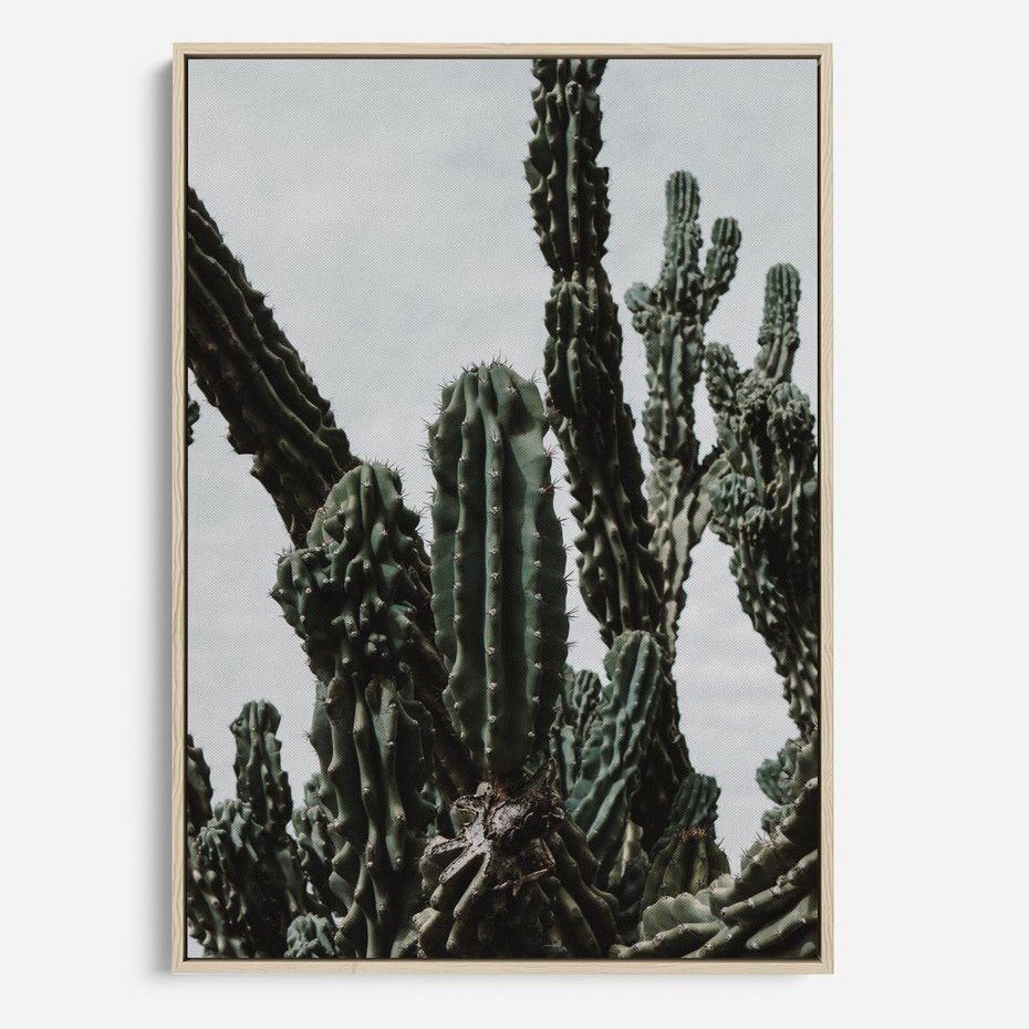 Obraz w ramie 50x70 - Boho oaza wśród kaktusów - kaktusy, pustynia - rama drewno