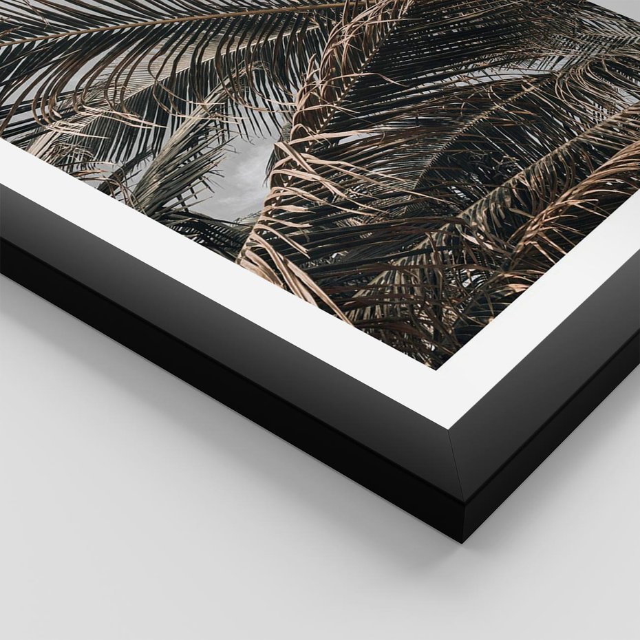 Plakat w ramie 50x70 - Liściaste Palmy - palmy, drzewa palmowe - rama czarna