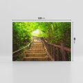 Obraz na płótnie 120x80 - Magiczne schody w lesie - schody, las