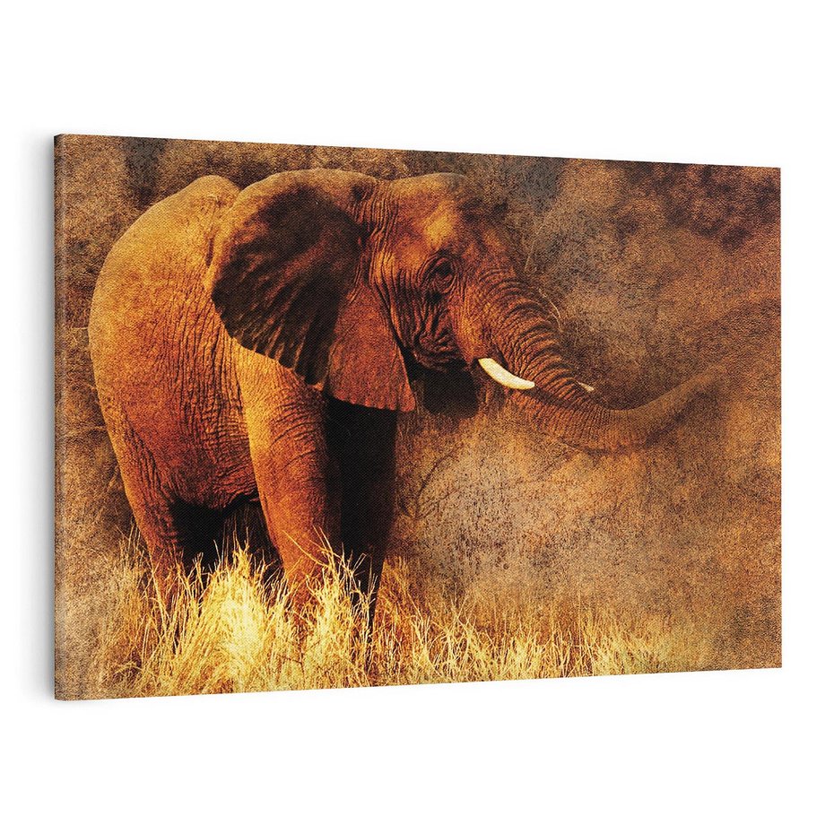 Obraz na płótnie 120x80 - Sztuka abstrakcyjna: Słoń - słoń, sztuka