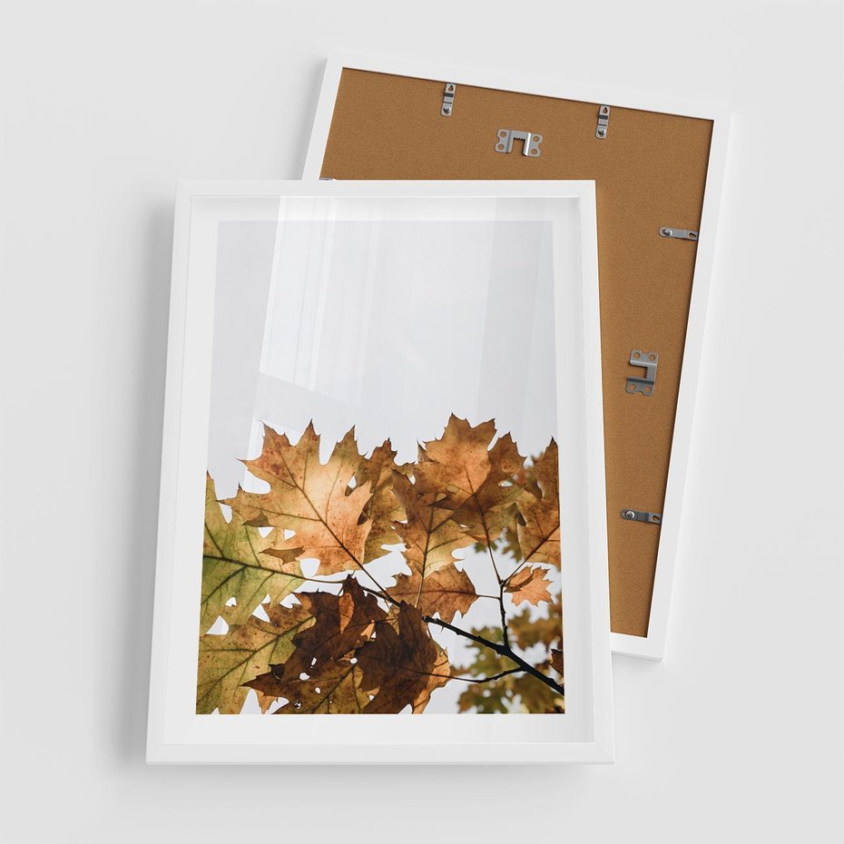 Plakat w ramie 50x70 - Suche Żółte Liście w Malowniczym Ujęciu - liście, żółte - rama biała