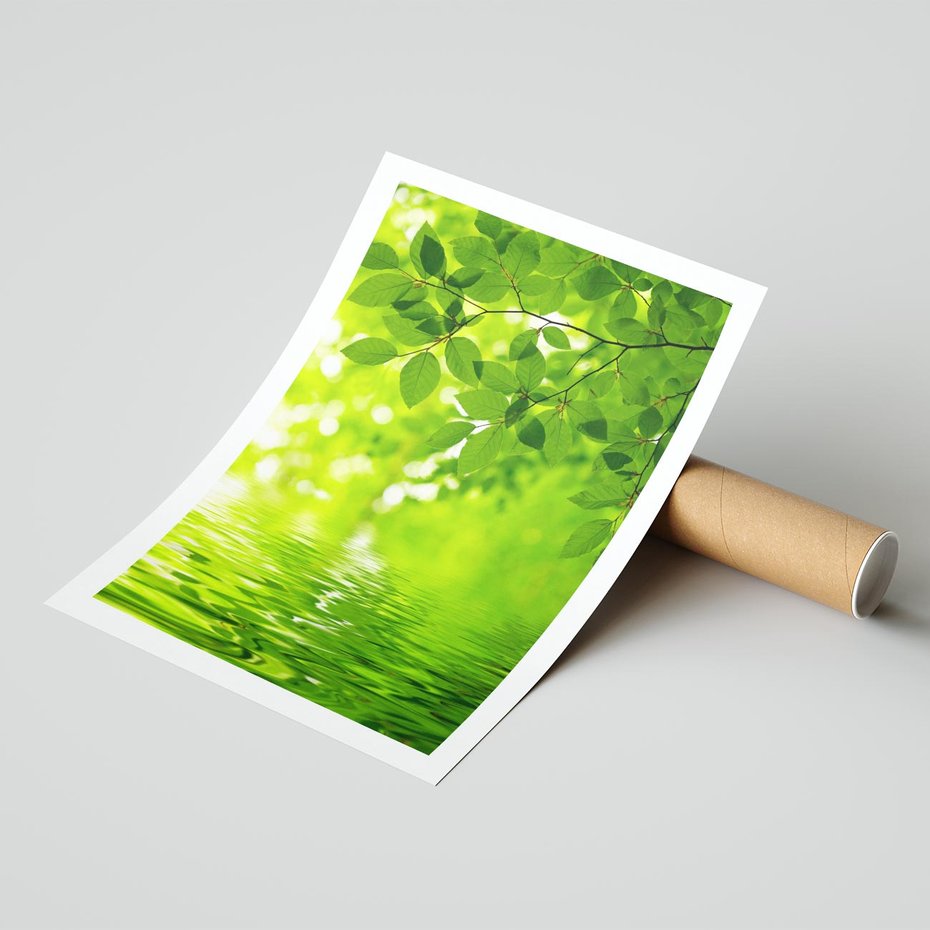 Plakat bez ramy 50x70 - Liście w Wodzie - liście, woda