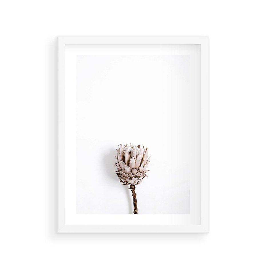 Plakat w ramie 30x40 - Suszona Roślina na Białym Tle - minimalizm, suszona roślina - rama biała