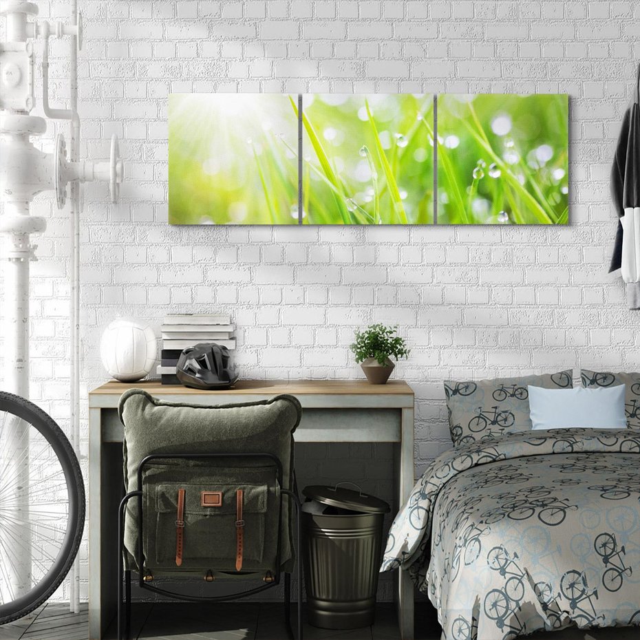 Obraz na płótnie 90x30 - Delikatna trawa pokryta rosą - trawa, rosa