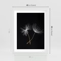 Plakat w ramie 40x50 - Delikatność Wiatru - dmuchawce, makro - rama biała