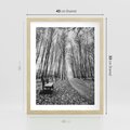 Plakat w ramie 40x50 - Spadające Liście - czarno białe zdjecie, park - rama drewno