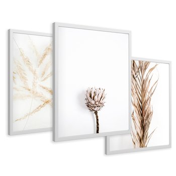 Zestaw obrazy w ramie 50x70 galeria - Boho, trawy, suche - rama biała