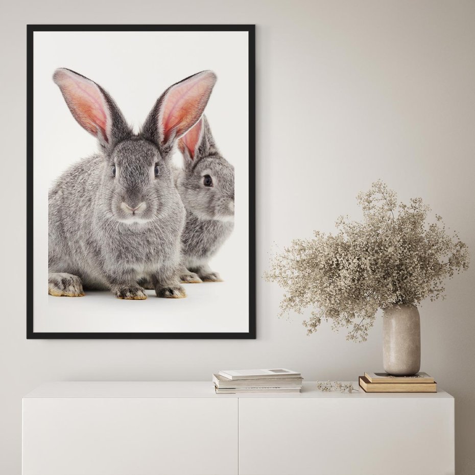 Plakat bez ramy 40x50 - Uroczy królik wśród natury - królik, zając