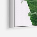 Obraz w ramie 50x50 - Zielone liście monstery - liście, monstera - rama biała