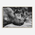 Obraz w ramie 120x80 - Potęga Afryki - czarno biała fotografia, zbliżenie na postać nosorożca - rama drewno