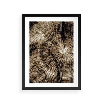 Plakat w ramie 30x40 - Natura Pod Lupą - pień drzewa, przekrój - rama czarna
