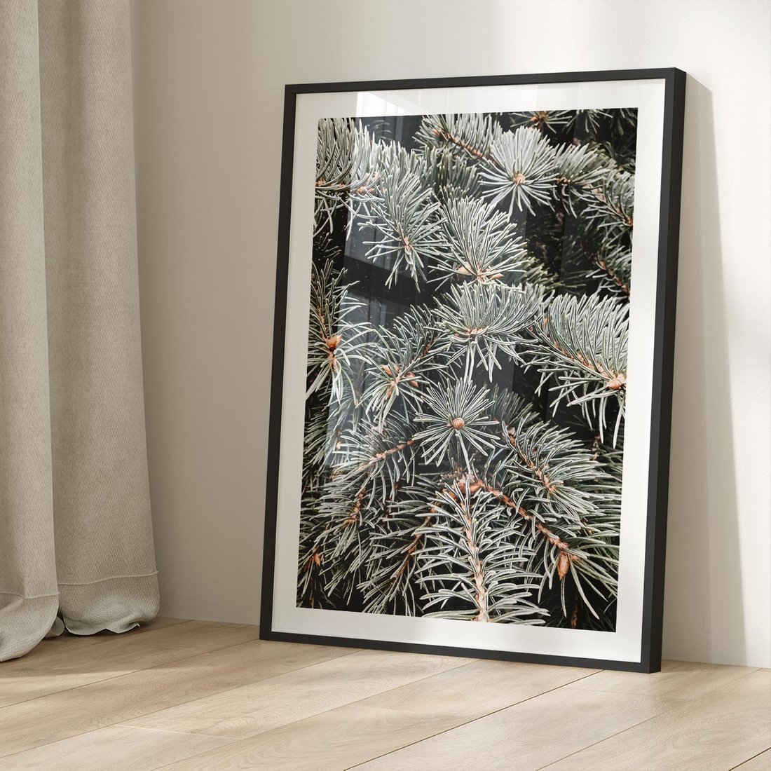 Plakat w ramie 40x50 - Zima na Gałęziach - sosnowe gałęzie, igły - rama czarna