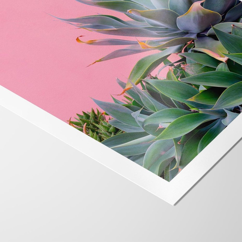 Plakat bez ramy 40x50 - Tropikalne Liście na Różowej Ścianie - różowa ściana, tropikalne liście na jej tle