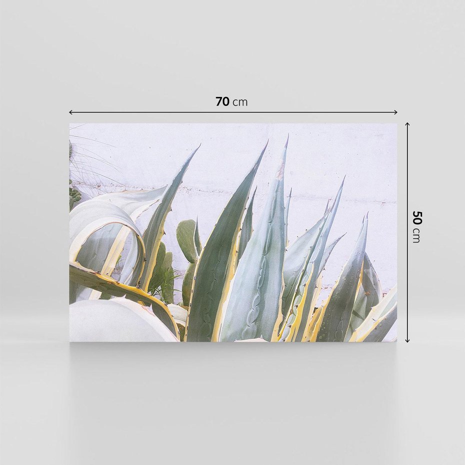 Obraz na płótnie 70x50 - Sukulentowe liście - liście, sukulenty