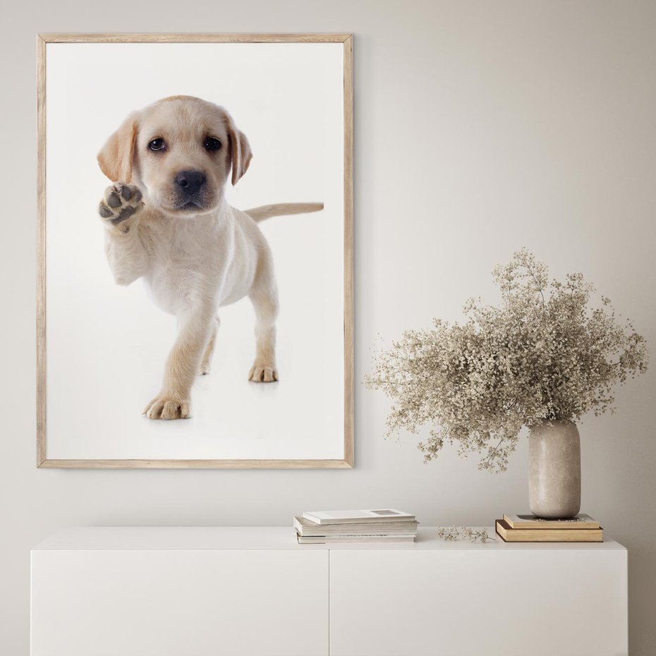 Plakat w ramie 40x50 - Szczeniak pełen radości - piesek, szczeniak - rama drewno