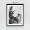 Plakat w ramie 30x40 - Palmy w Monochromii - palmy, tropikalne palmy - rama czarna
