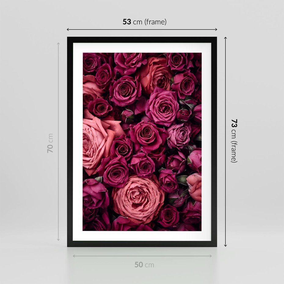 Plakat w ramie 50x70 - Róże - piękno kwiatów - róże, kwiaty - rama czarna