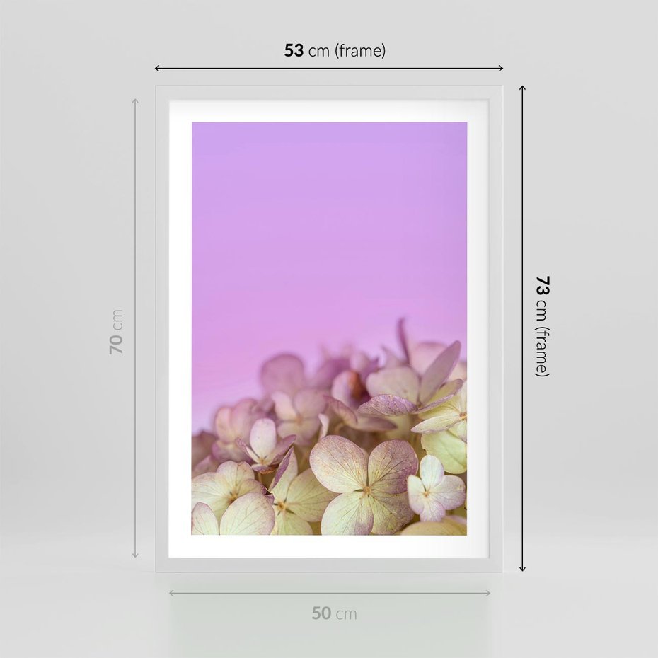 Plakat w ramie 50x70 - Kwiatowa Uroda - kwiaty, hortensje - rama biała
