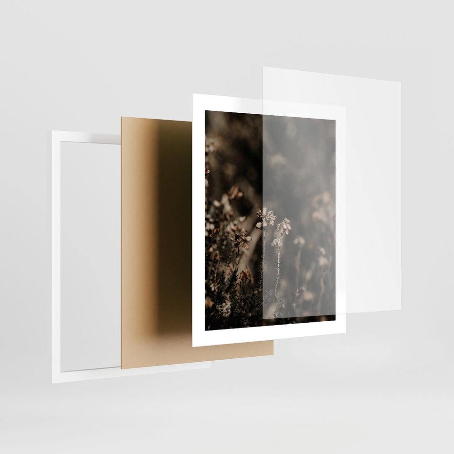 Plakat w ramie 40x50 - Jesienny Urok - suche trawy, jesienny pejzaż - rama biała