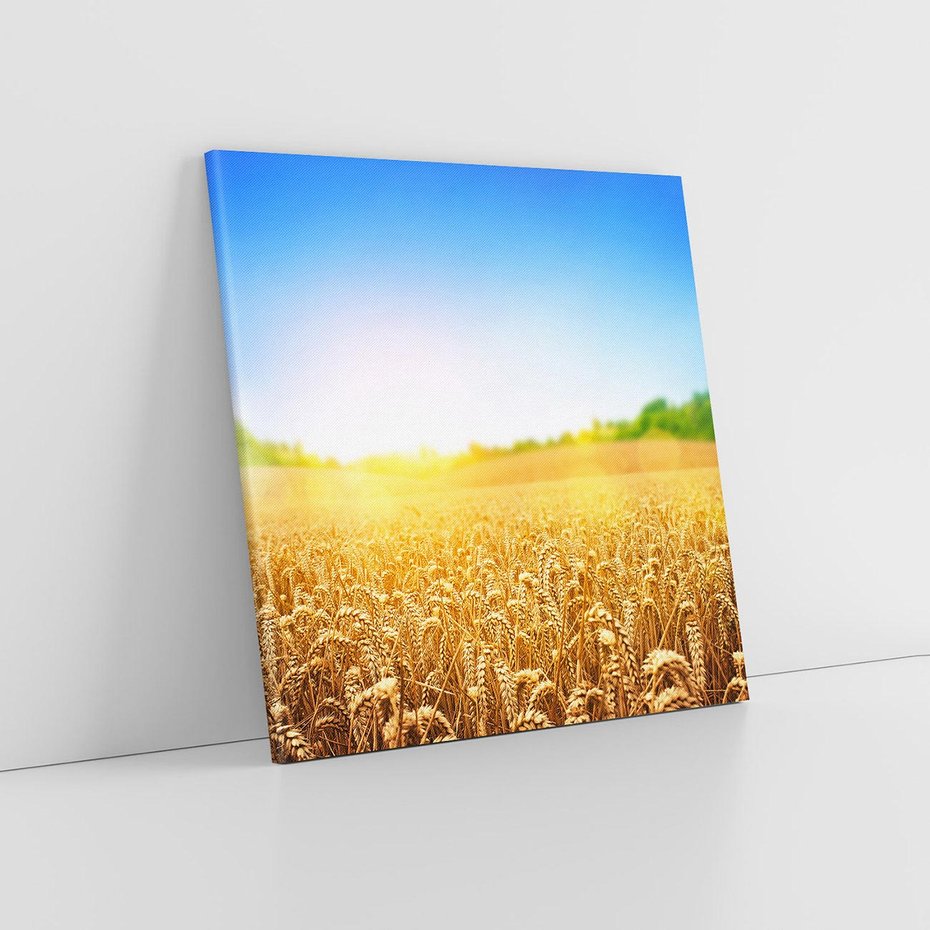 Obraz na płótnie 60x60 - Żyzne Pola - pole, pszenicy