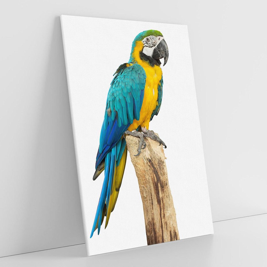 Obraz na płótnie 70x100 - Kolorowa papuga w locie - papuga, ptak