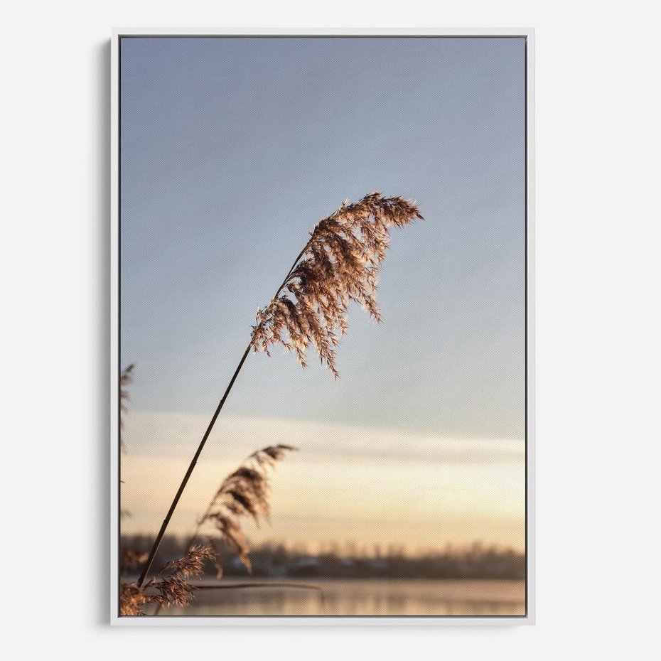 Obraz w ramie 50x70 - Naturalna Delikatność - trawy, boho - rama biała