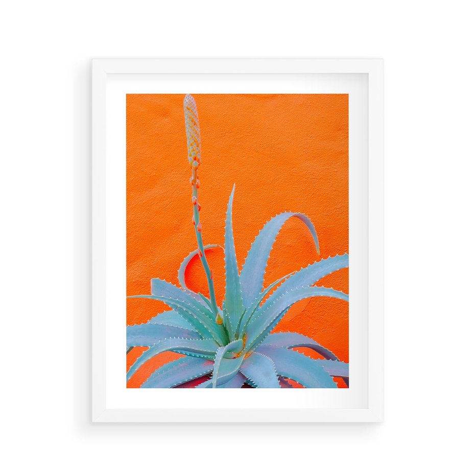 Plakat w ramie 40x50 - Naturalna Harmonia - kaktusy, liście - rama biała