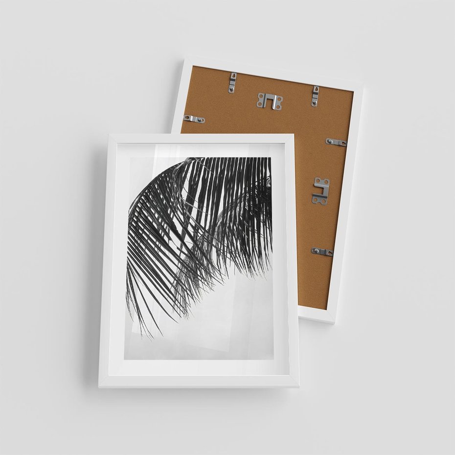 Plakat w ramie 30x40 - Czarno-Biały Kontrast - czarno białe zdjecie, palma - rama biała
