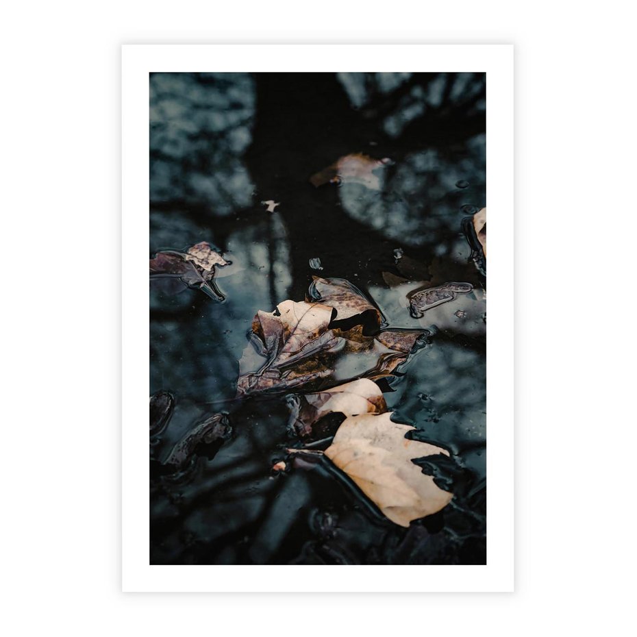 Plakat bez ramy 40x50 - Jesienne Liście w Kałużach: Odbicie Natury - jesienne liście wkałuży, fotografia