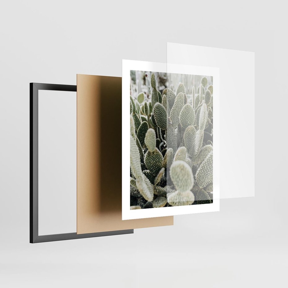Plakat w ramie 40x50 - Kaktusowa Harmonia - kaktusy, fotografia - rama czarna