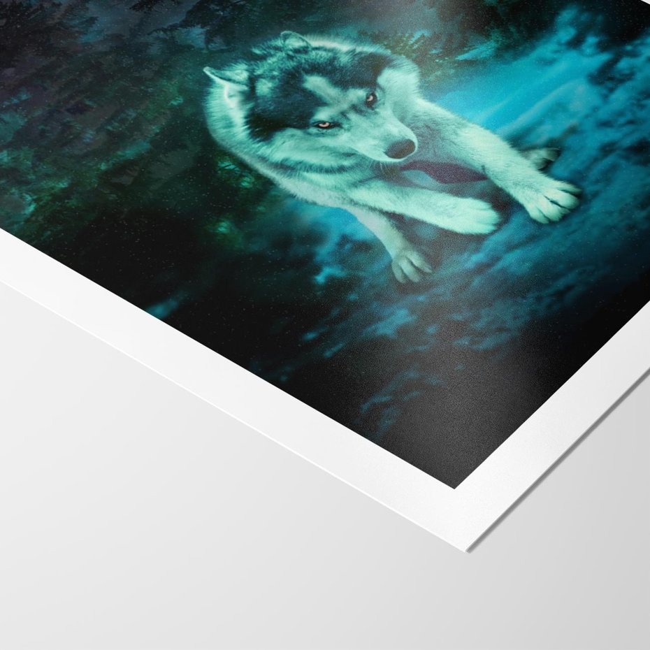 Plakat bez ramy 50x70 - Siła i wdzięk natury - wilk, husky