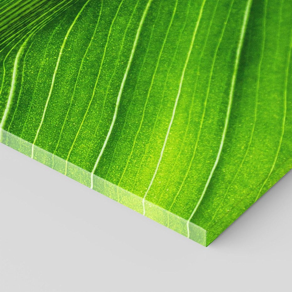 Obraz na płótnie 50x70 - Abstrakcja: interpretacje w liściach - liść, abstrakcja