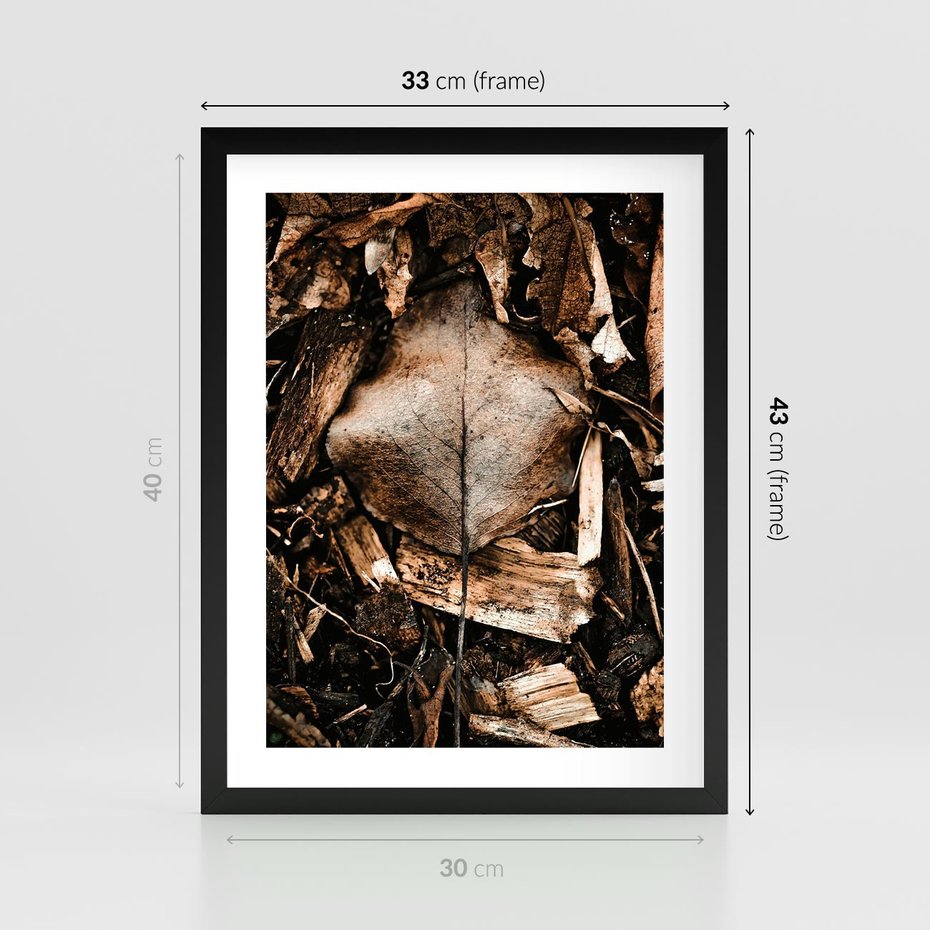 Plakat w ramie 30x40 - Samotny Liść - liść, brąz - rama czarna
