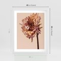 Plakat w ramie 40x50 - Delikatne piękno - suche, kwiaty - rama biała