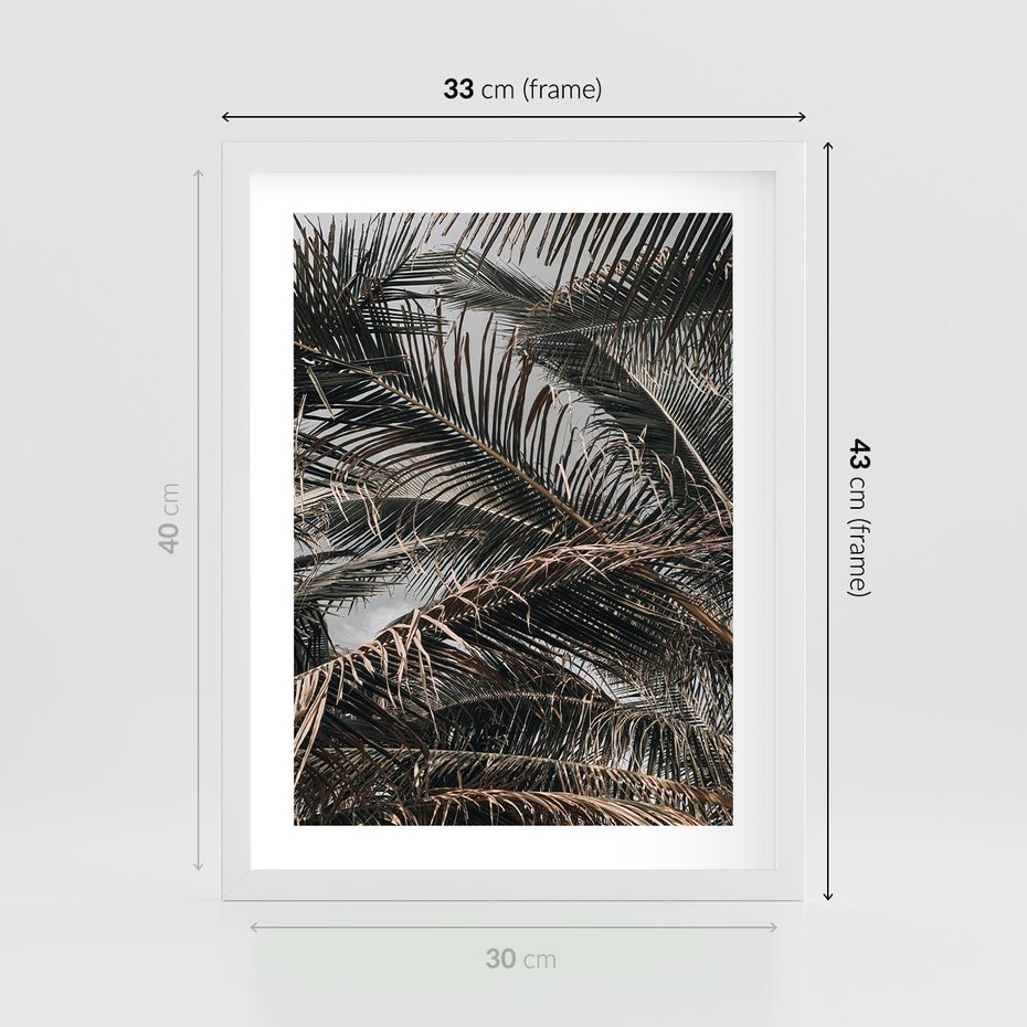 Plakat w ramie 30x40 - Liściaste Palmy - palmy, drzewa palmowe - rama biała