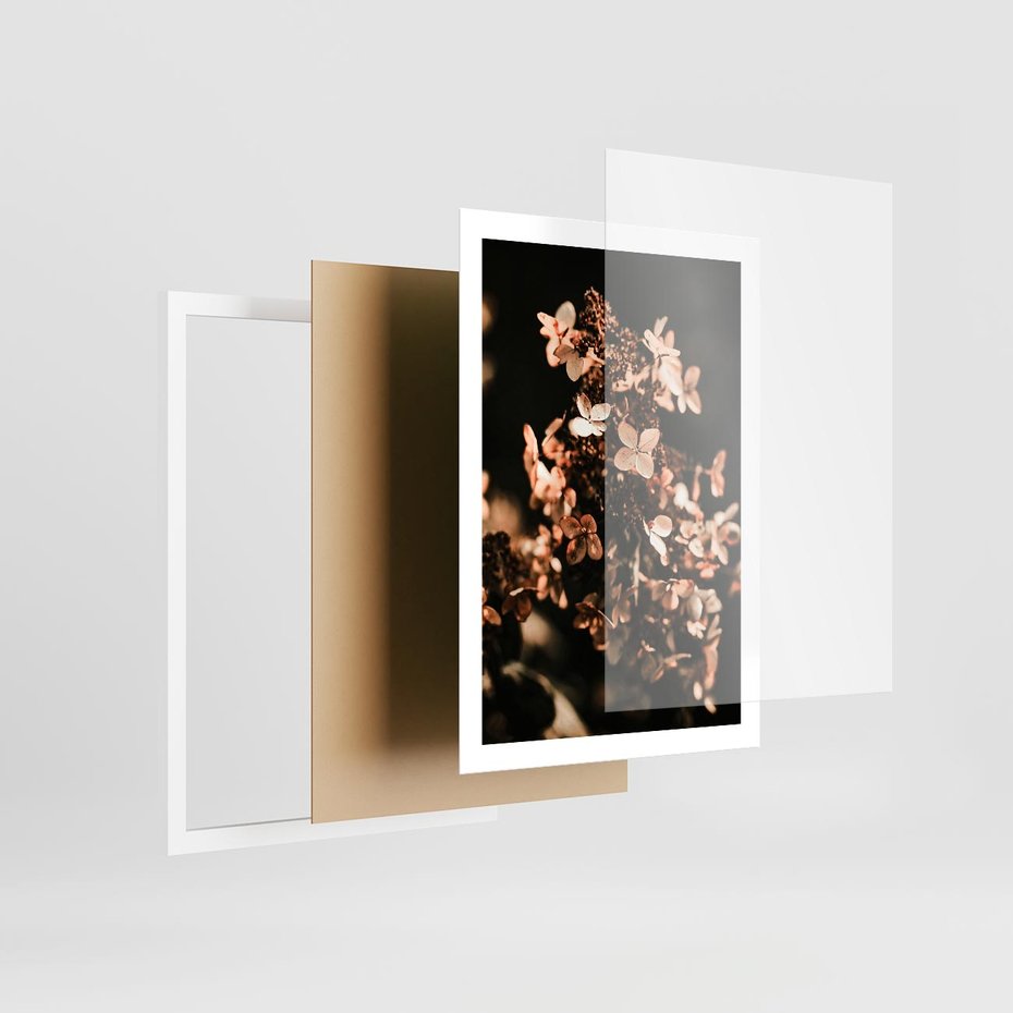 Plakat w ramie 50x70 - Hortensja - Suchy Kwiat w Sztuce - hortensja, suchy kwiat - rama biała