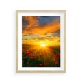 Plakat w ramie 40x50 - Magia zachodu słońca na łące z makami - łąka, zachód słońca - rama drewno