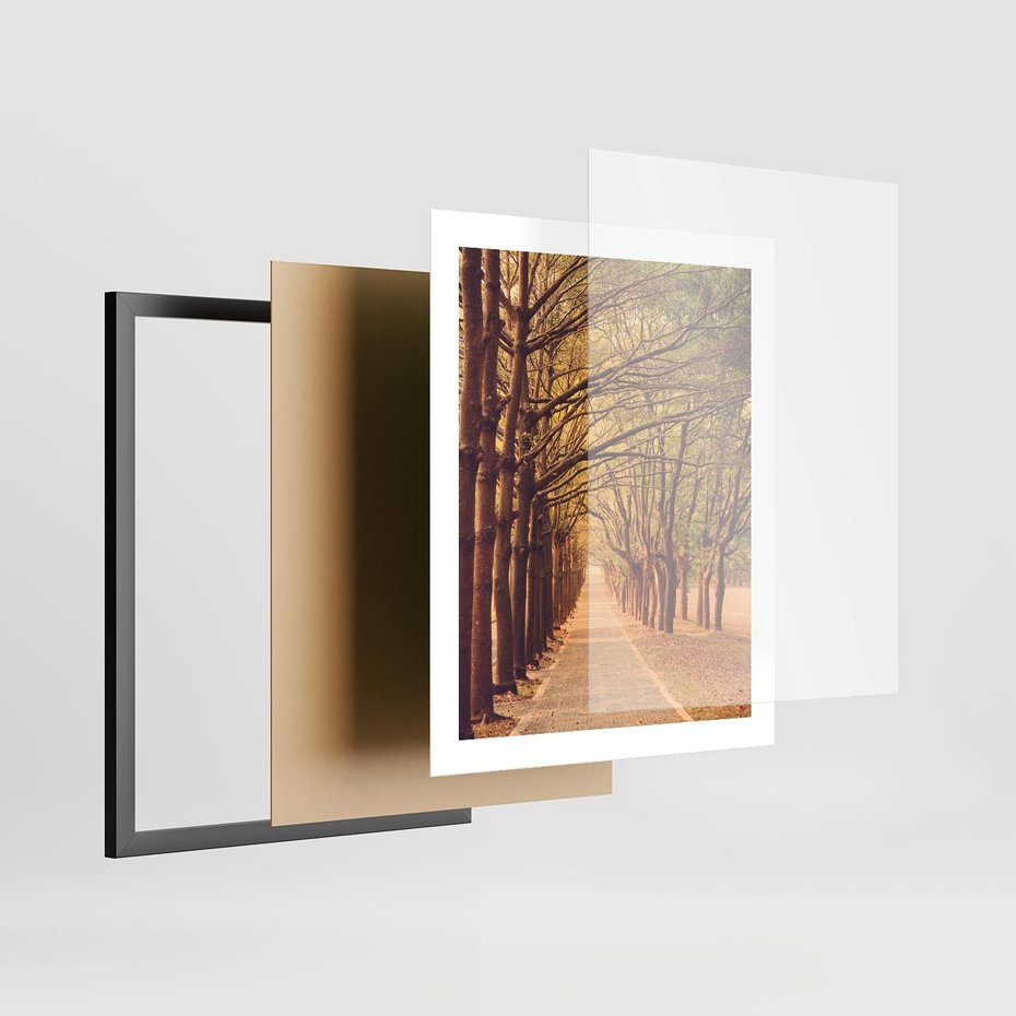 Plakat w ramie 40x50 - Wędrówka między drzewami - droga, drzewa - rama czarna