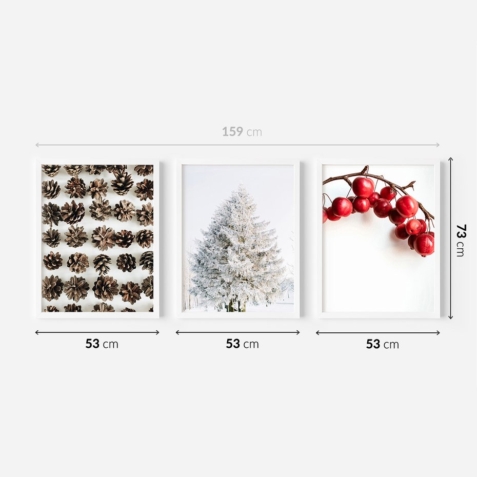 Zestaw obrazy w ramie 50x70 galeria - Zima, szyszki, śnieg - rama biała
