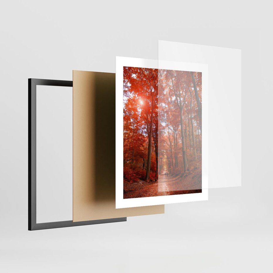 Plakat w ramie 40x50 - Magia jesiennego lasu - las, jesień - rama czarna