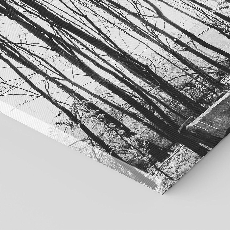 Obraz na płótnie 120x60 - Spadające Liście - czarno białe zdjecie, park