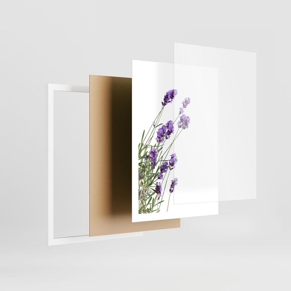 Plakat w ramie 50x70 - Delikatny Urok - lawenda, kwiaty - rama biała