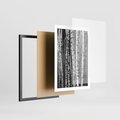 Plakat w ramie 50x70 - Kontrast Monochromatyczny - brzozy, czarno - rama czarna