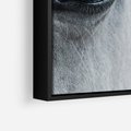 Obraz w ramie 50x70 - Oko Mocy - czarno białe zdjęcie, zbliżenie makro na oko konia - rama czarna