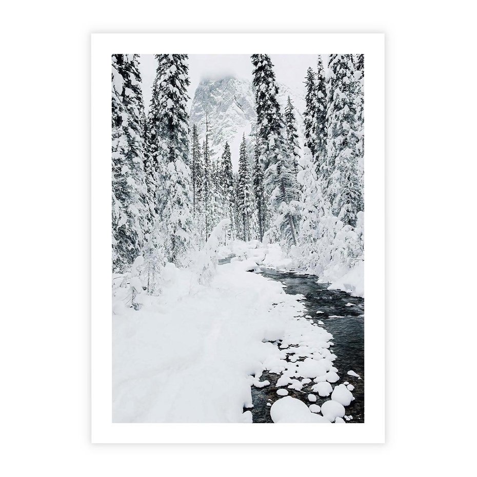 Plakat bez ramy 21x30 - Spokój Zimowego Lasu w Górach - zima w lesie, w górach